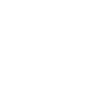 Fortune Wheel Logo